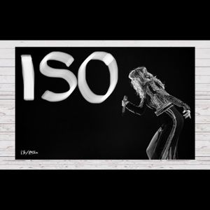 ISO Taylor Swift Dont Blame Me Rep Tour Litho